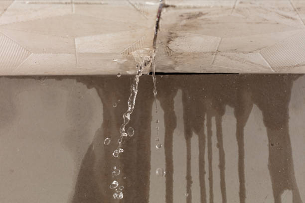 Professional Water Damage Repair technician working in Adkins, TX